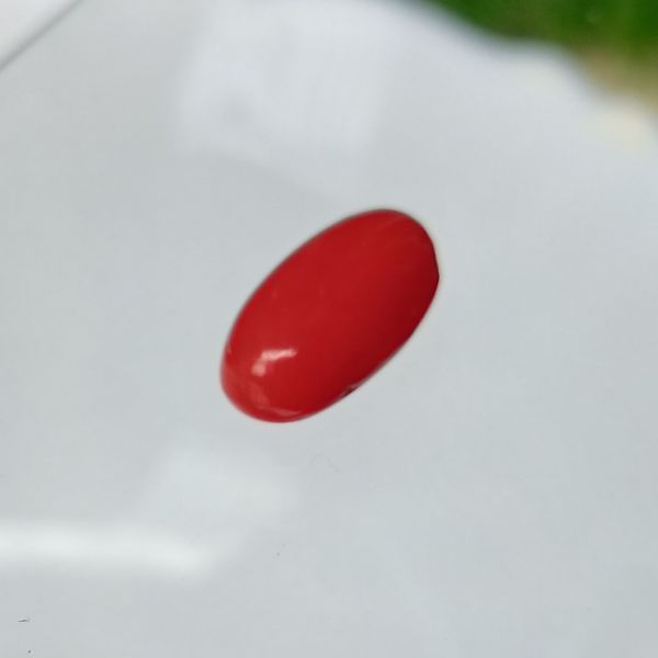 Red Coral Italian 5.27 carats
