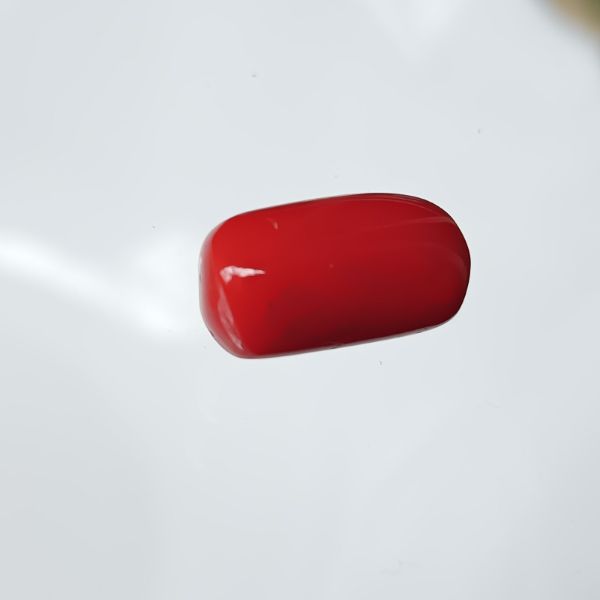 Red Coral Italian 5.68 carats