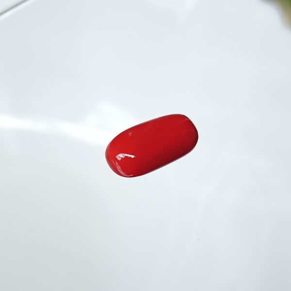 Red Coral Italian 4.52 carats