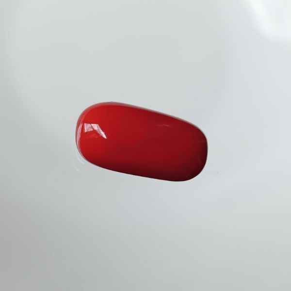 Red Coral Italian 4.52 carats
