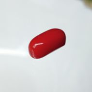 Red Coral Italian 4.4 carats