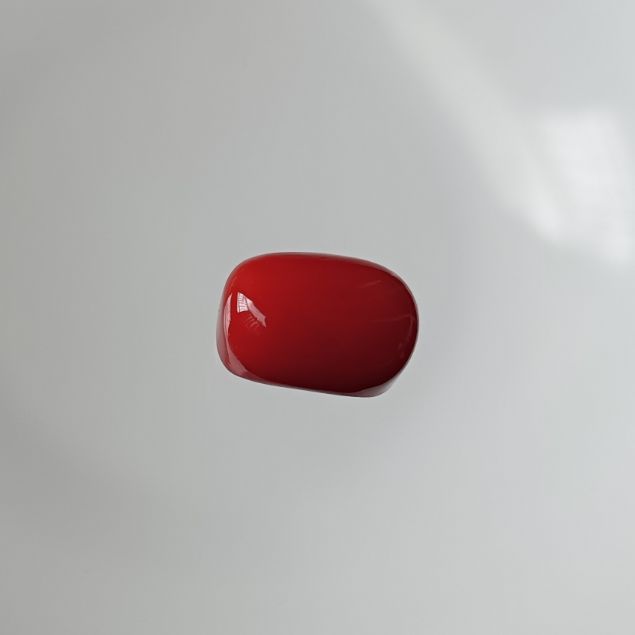 Red Coral Italian 3.2 carats 