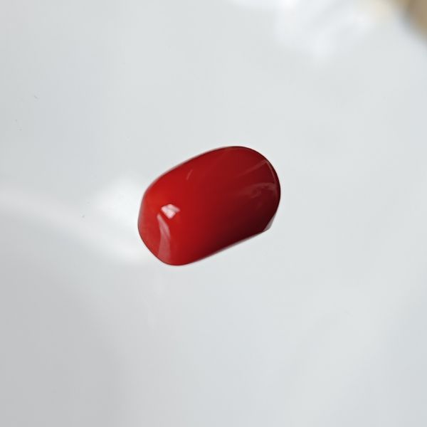Red Coral Italian 3.2 carats 