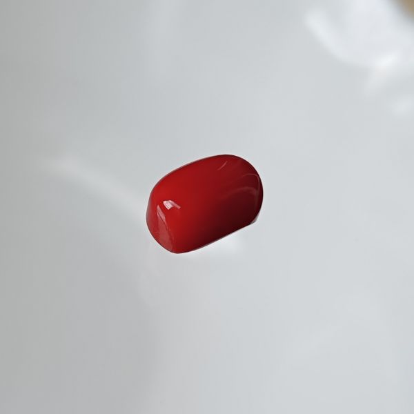 Red Coral Italian 3.2 carats 