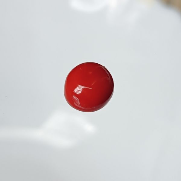 Red Coral Italian 3.12 carats