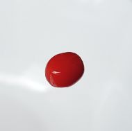 Red Coral Italian 2.13 carats  