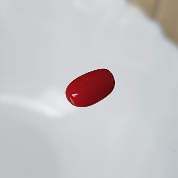 Red Coral Italian 2.28 carats