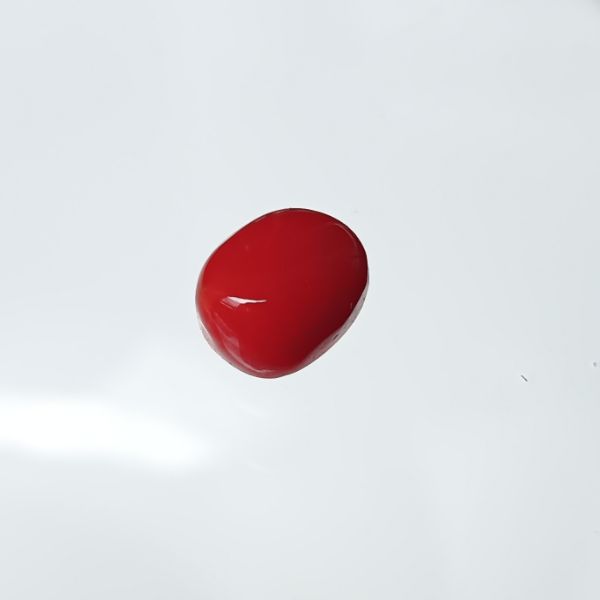 Red Coral Italian 1.85 carats