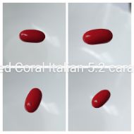 Red Coral Italian 5.2 carats