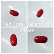 Red Coral Italian 5.05 carats