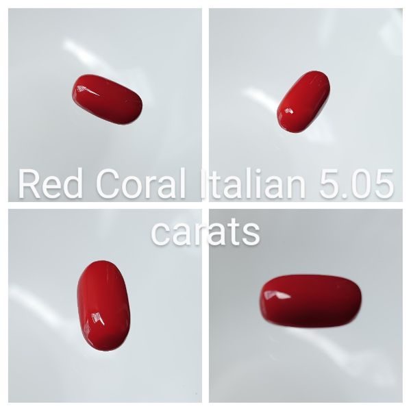Red Coral Italian 5.05 carats