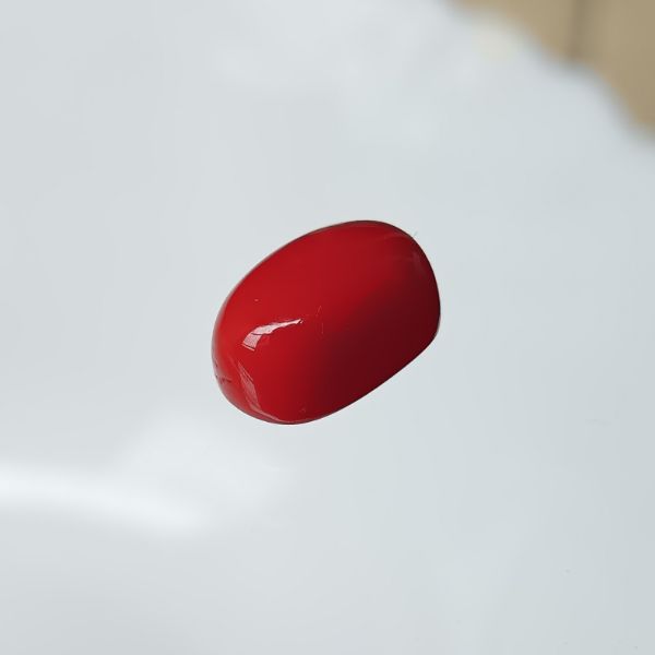 Red Coral Italian 4.45 carats