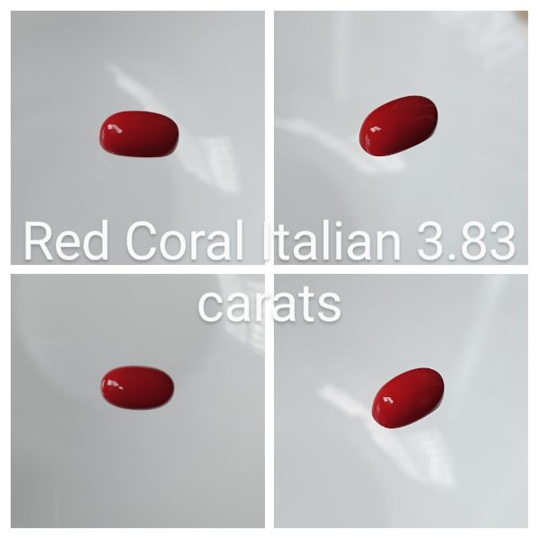 Red Coral Italian 3.83 carats