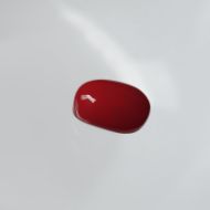 Red Coral Italian 3.63 carats