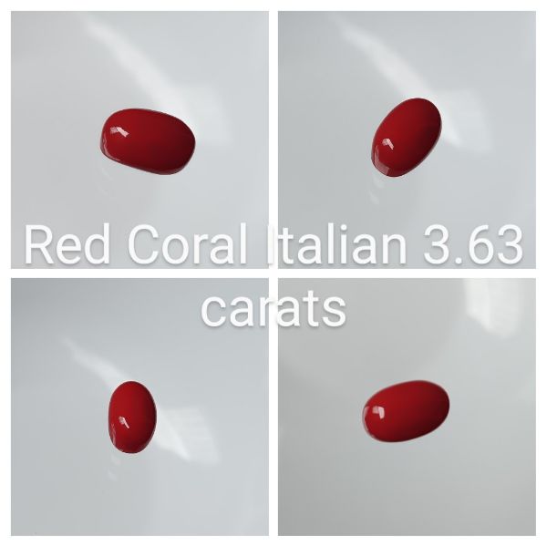 Red Coral Italian 3.63 carats