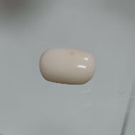 White Coral 6.5 Carats