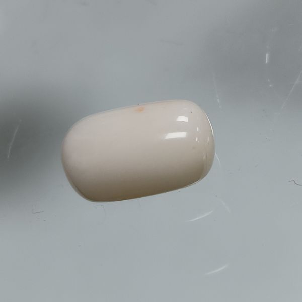 White Coral 6.5 Carats