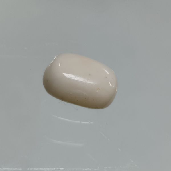 White Coral 5.3 Carats