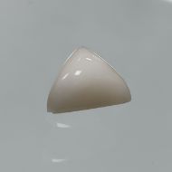 White Coral 7.82 Carats