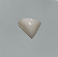 White Coral 7.82 Carats