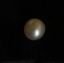 South Sea Pearl 3.14 carats 