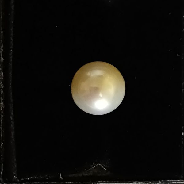 South Sea Pearl 3.37 carats