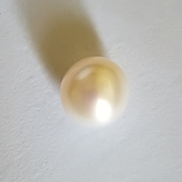 South Sea Pearl 3.37 carats