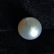 South Sea Pearl 5.76 carats