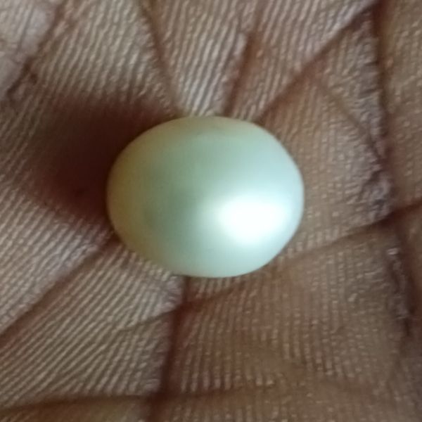 South Sea Pearl 7.0 carat  