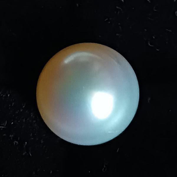 South Sea Pearl 7.64 carats 