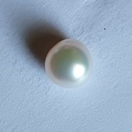 South Sea Pearl 7.64 carats 