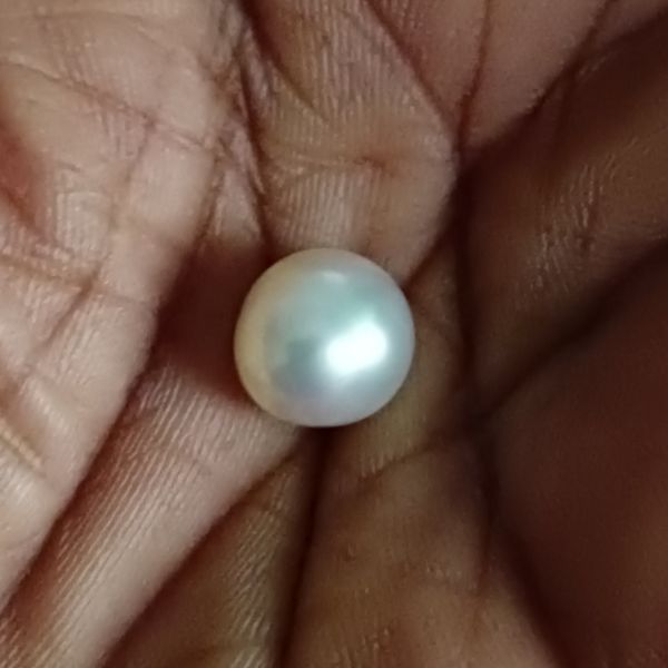South Sea Pearl 7.64 carats 