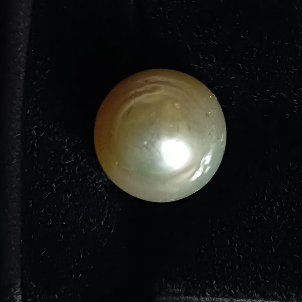 South Sea Pearl 7.78 carat