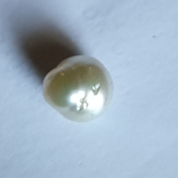 South Sea Pearl 7.78 carat