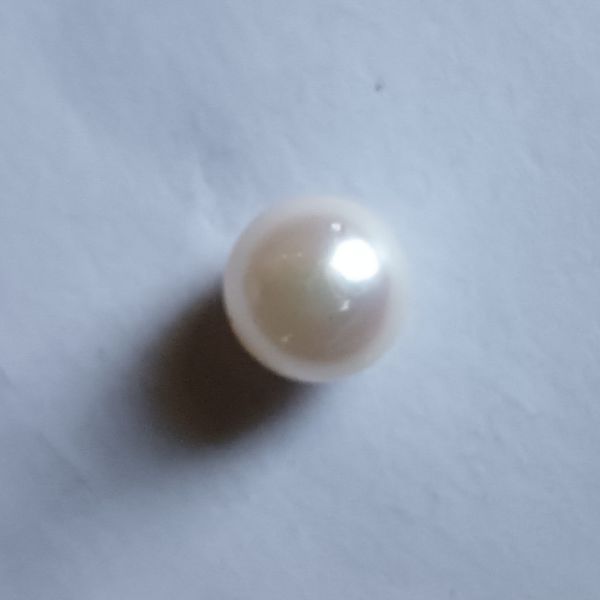 South Sea Pearl 8.3 carats
