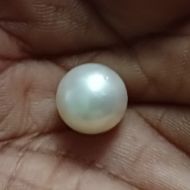 South Sea Pearl 8.3 carats
