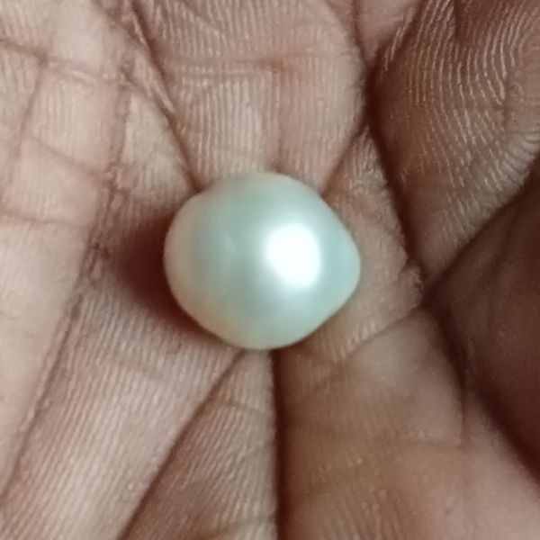 South Sea Pearl 8.34 carats