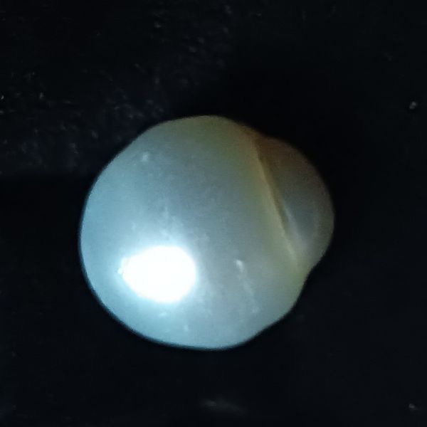 South Sea Pearl 9.17 carats 