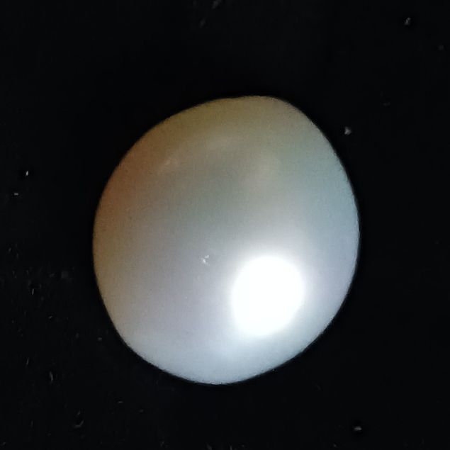 South Sea Pearl 9.21 carats