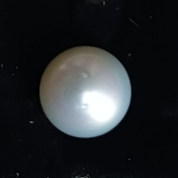 South Sea Pearl 9.21 carats
