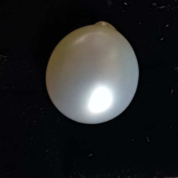 South Sea Pearl 9.24 carats