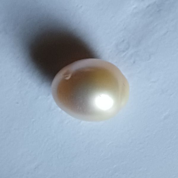 South Sea Pearl 9.6 carats