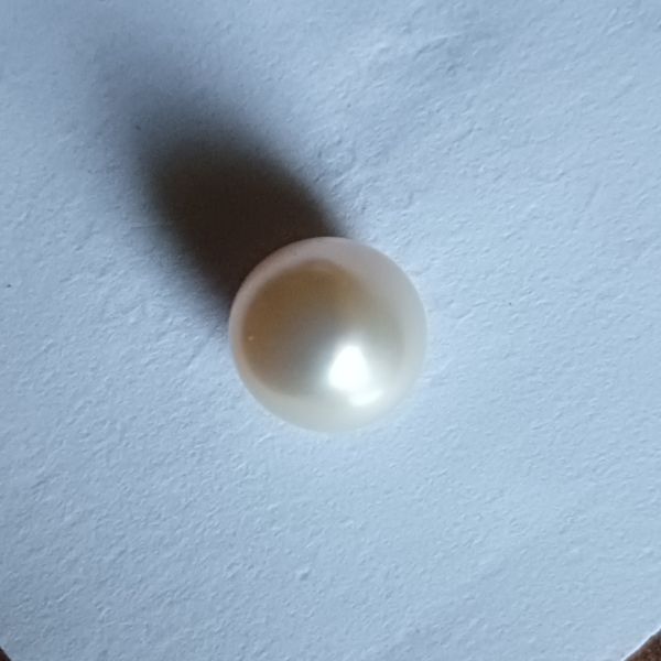South Sea Pearl 9.86 carats 