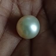 South Sea Pearl 9.86 carats 