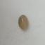 Cats Eye 5.77 Carats - Quartz 