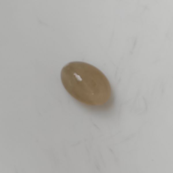 Cats Eye 5.77 Carats - Quartz 