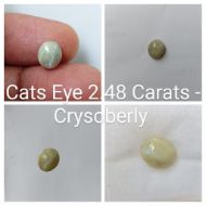 Cats Eye 2.48 Carats - Crysoberly 