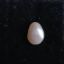 Fresh water Pearl 1.52 carats