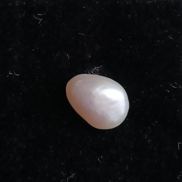 Fresh water Pearl 1.52 carats
