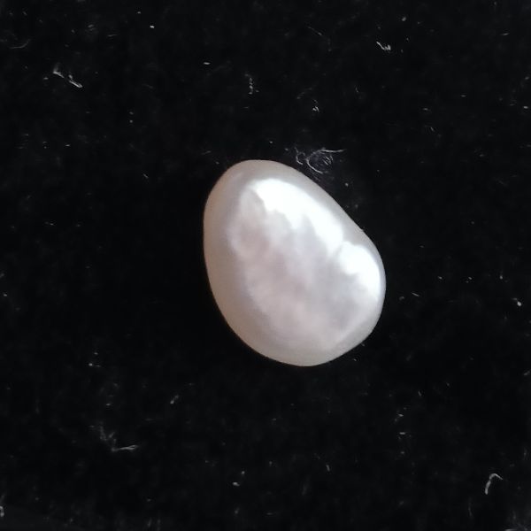 Fresh water Pearl 1.52 carats
